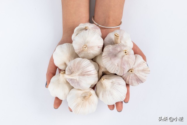 近几年大蒜价格走势图_大蒜批发价跌幅_山东蒜价分化