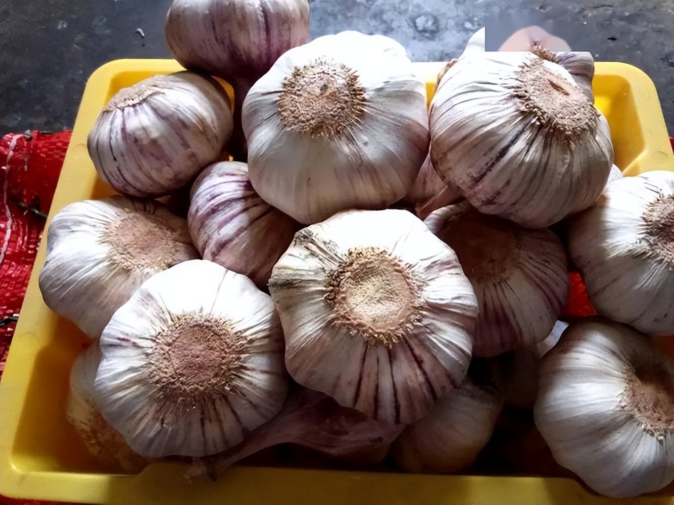 近几年大蒜价格走势图_大蒜市场分析及策略_杞县大蒜价格走势