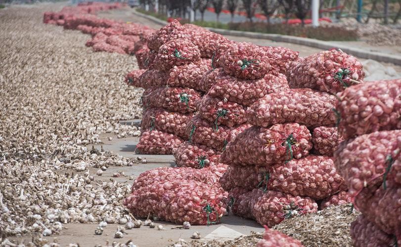 近几年大蒜价格走势图_杞县大蒜价格走势_大蒜市场分析及策略