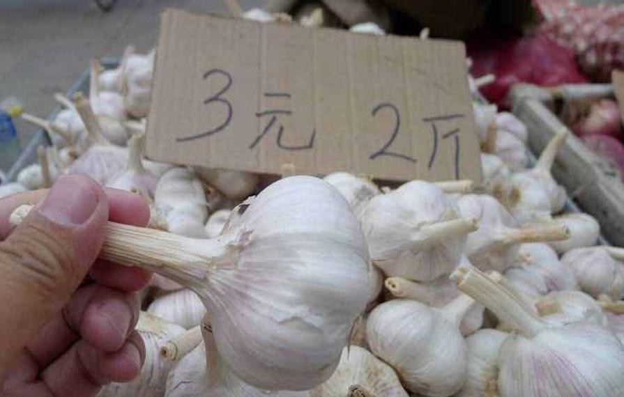 大蒜市场分析及策略_近几年大蒜价格走势图_杞县大蒜价格走势