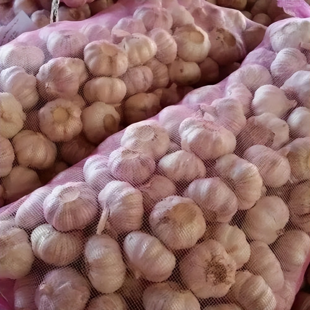 杞县大蒜价格走势_大蒜市场分析及策略_近几年大蒜价格走势图