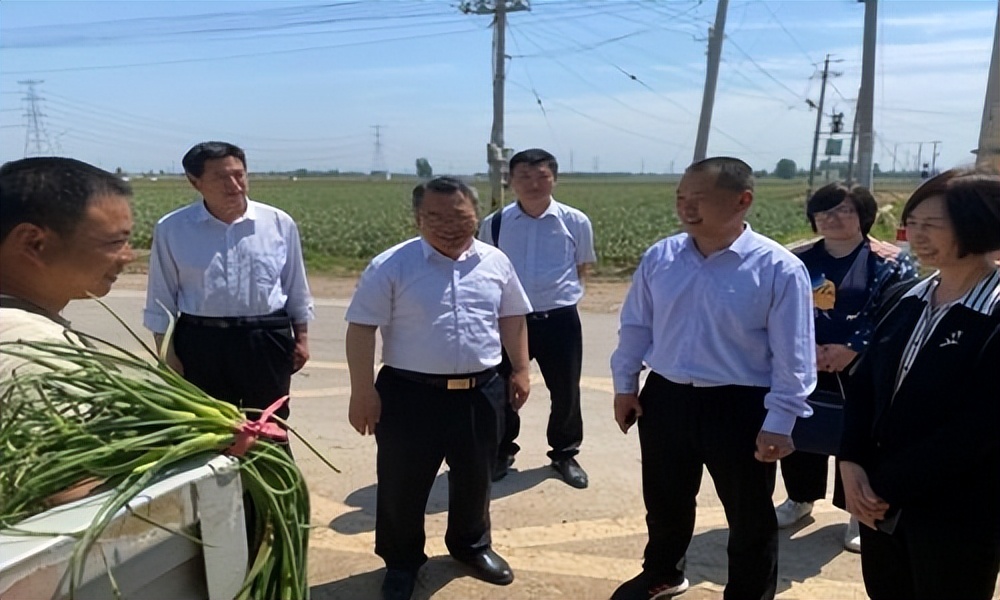 大蒜市场分析及策略_近几年大蒜价格走势图_杞县大蒜价格走势