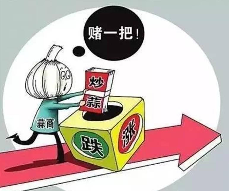 杞县大蒜价格走势_近几年大蒜价格走势图_大蒜市场分析及策略