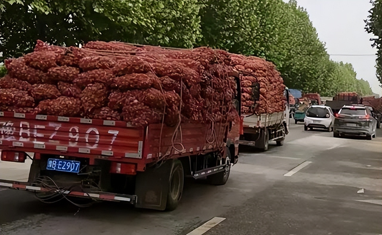 大蒜市场分析及策略_近几年大蒜价格走势图_杞县大蒜价格走势