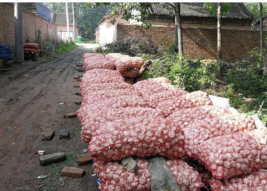 大蒜市场分析及策略_杞县大蒜价格走势_近几年大蒜价格走势图