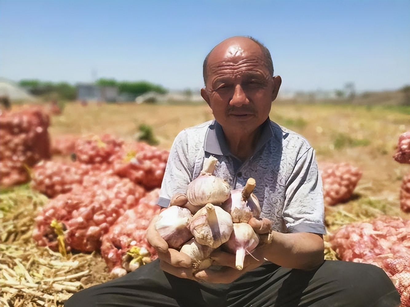 近几年大蒜价格走势图_大蒜市场分析及策略_杞县大蒜价格走势