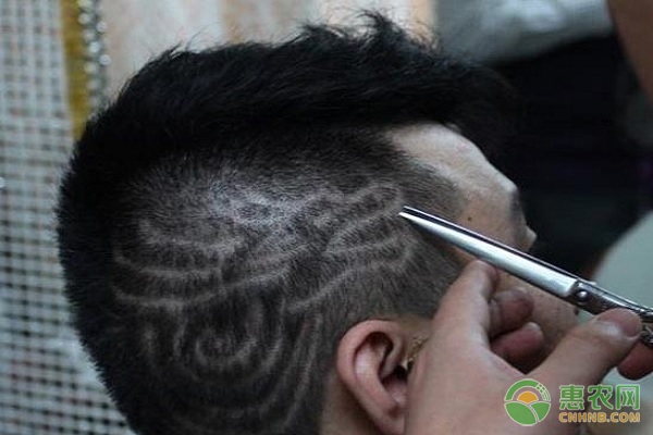 小本生意创业项目_明年好的小本致富点子_低成本高利润小生意