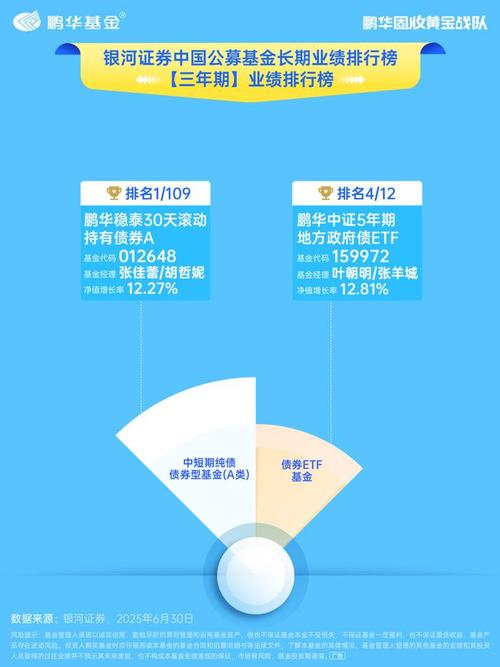 鹏华基金权益投资亏损分析_鹏华基金固收投资业绩排名_天天基金网鹏华治理