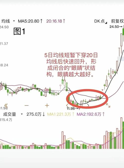 黄金股票交易时间有啥讲究？盯准上金所和夜盘时段是关键