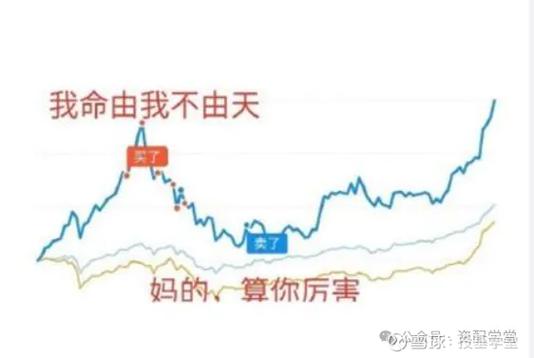 基金是不是有价证券_个人跟着基金投资_基金持仓公开性