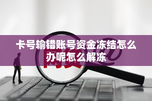 卡号输错账号资金冻结怎么办呢怎么解冻
