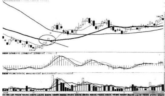 均线粘合买入法_零基础学炒股从入门到精通(通达信版)_均线粘合向上发散形