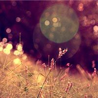 中国银行电子卡：安全便捷的在线支付与移动支付新选择