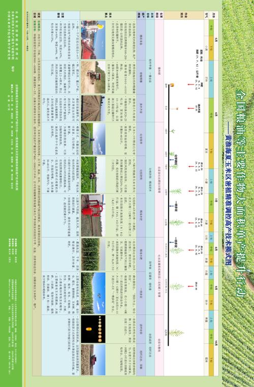 中国玉米产业全景分析：种植分布、机械化差异与未来发展机遇