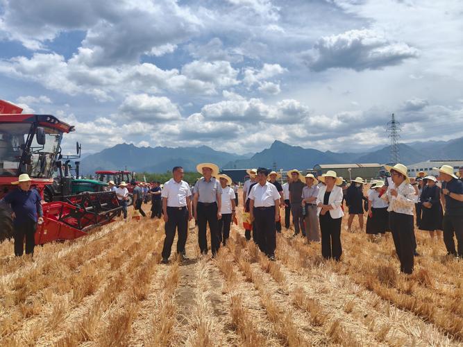 三夏高效农机大显身手：60万台收割机投入麦收，无人机精准监测助力农业现代化