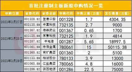 首批主板注册制新股开启申购，首日破发引关注！估值价差咋回事？