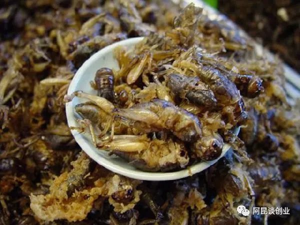 年轻人热衷自主创业？这四个新兴小项目值得一看