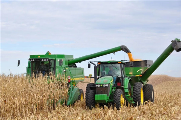 玉米籽粒直收：节本增效新趋势，品种与技术双重突破