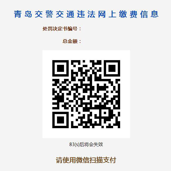 农行缴纳交通罚款_电子监控违法处理流程_山东交通厅交通安全综合管理平台注册