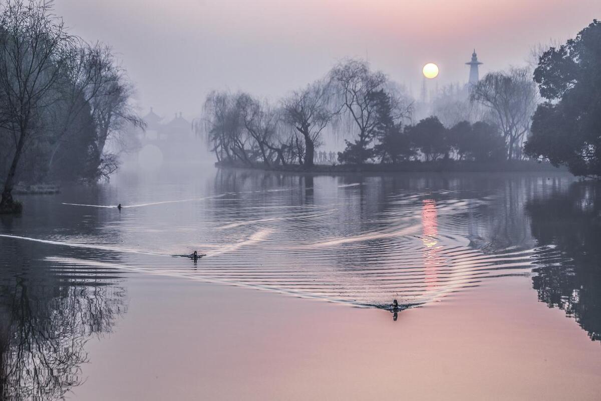 交易者关注点分析_交易过程阶段分析_集合竞价量比选股公式