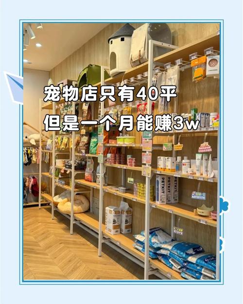 个人小额投资小本生意也能赚钱，如家庭装饰油画店和宠物用品店
