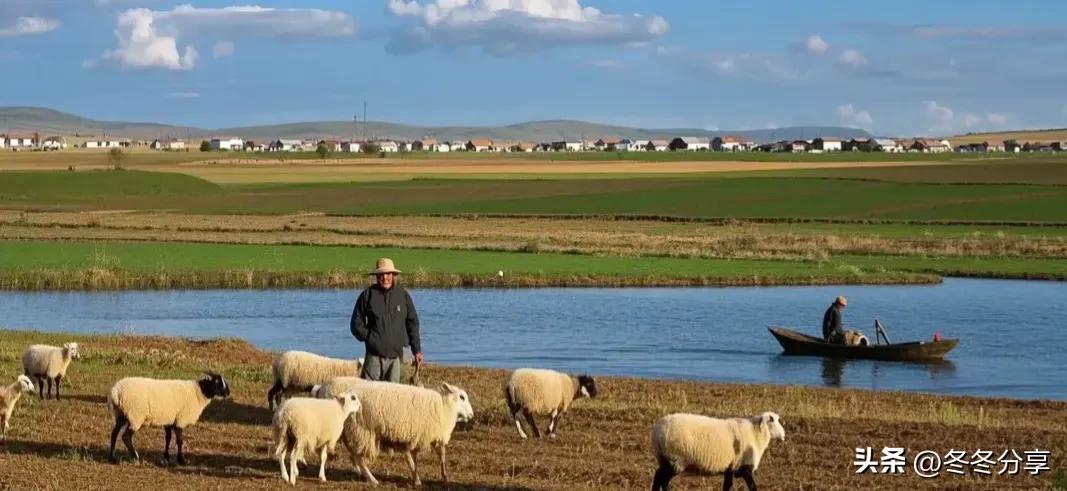 直播带货乡村振兴_中国农村科技创业_2025做什么生意有前景