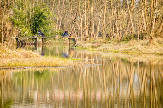 2025年下半年赚钱趋势_绿色能源碳中和产业机会_2025做什么生意有前景