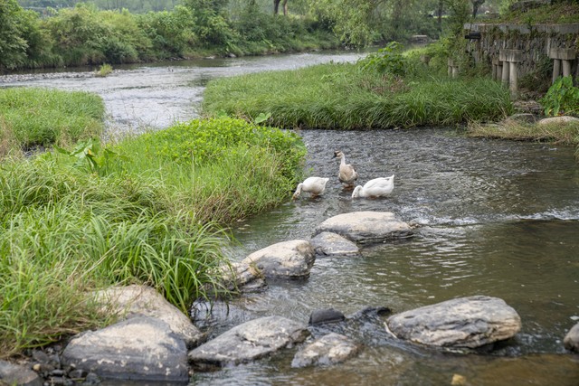绿色能源碳中和产业机会_2025做什么生意有前景_2025年下半年赚钱趋势