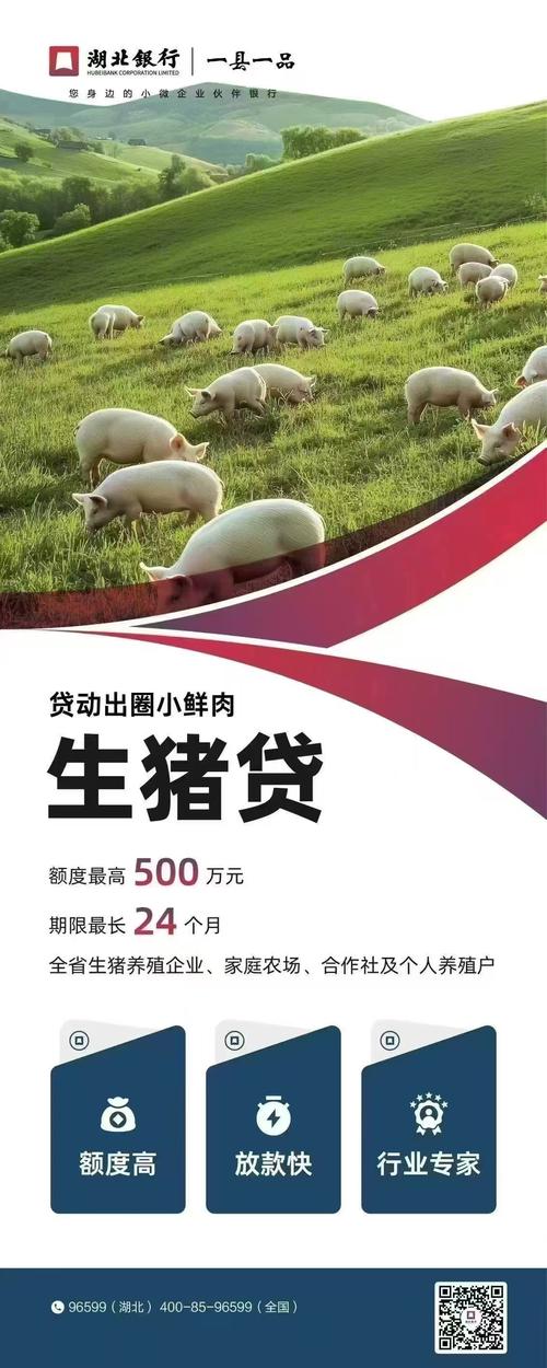 诸城农商银行创新生猪生产贷，解养殖户燃眉之急，加大信贷投放力度
