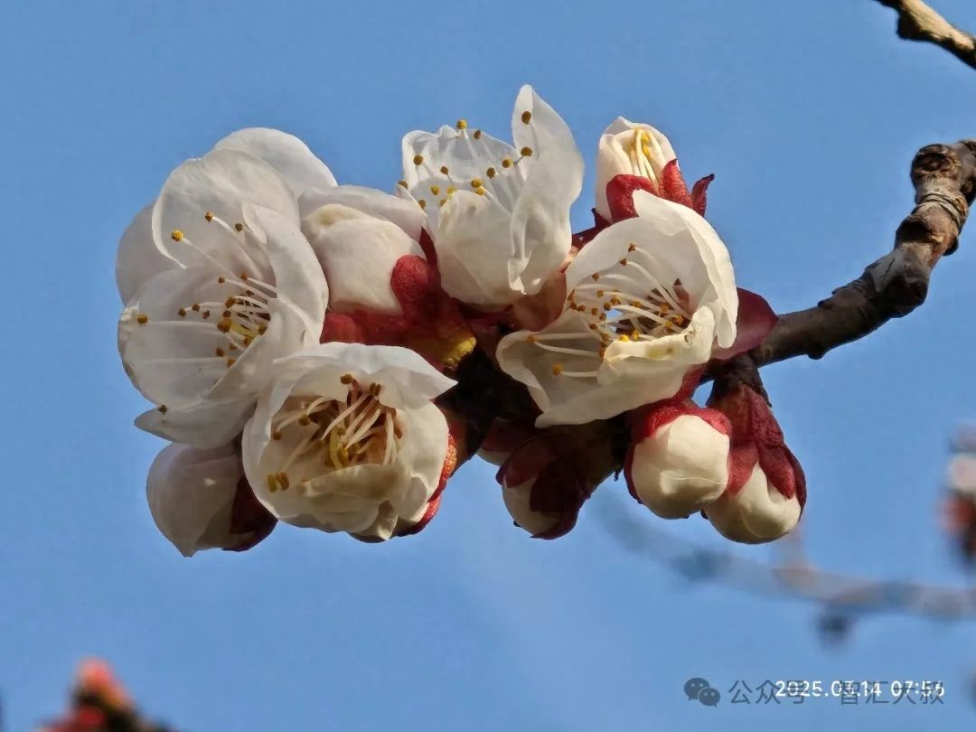 2024年度直接投资存量权益登记工作开启！申报时间及流程要知晓