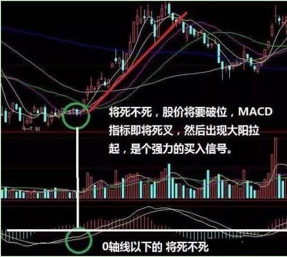 什么时候规避强势股补跌_主力控盘不跌破均线_均线支撑缩量分析