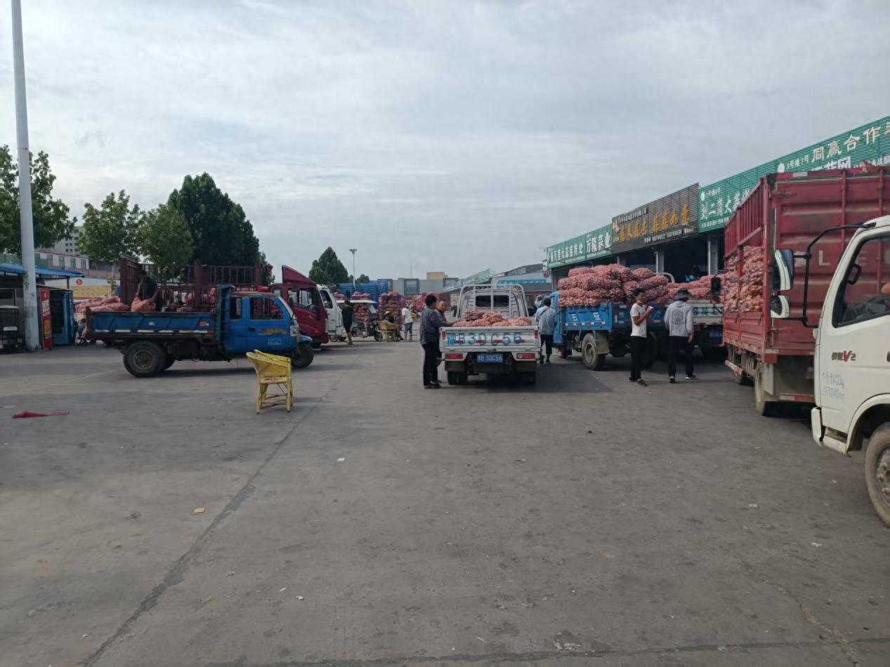 南外环、鱼山及杞县大蒜市场收家数量变化，蒜价微变？