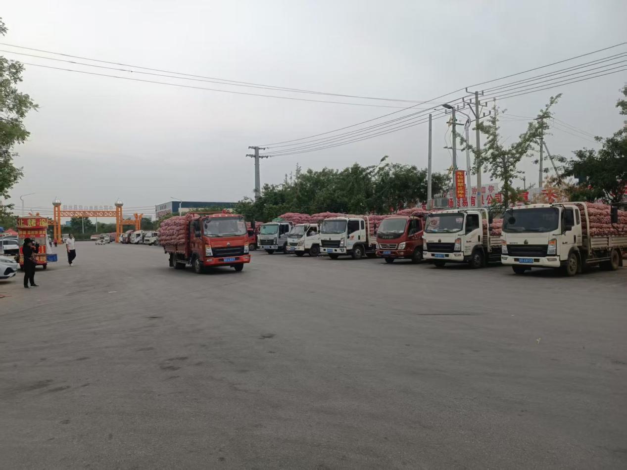 近几年大蒜价格走势图_杞县大蒜市场收蒜情况_南外环大蒜市场收家数量