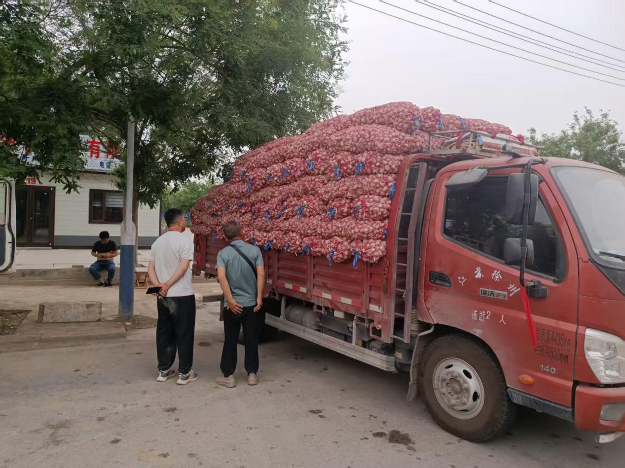 近几年大蒜价格走势图_南外环大蒜市场收家数量_杞县大蒜市场收蒜情况