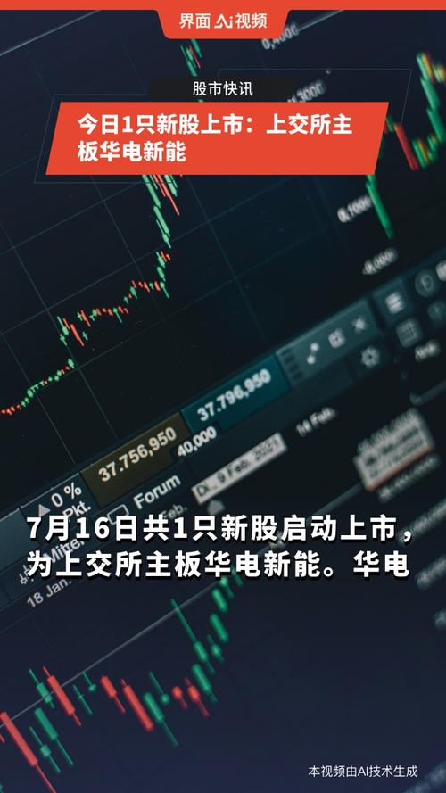 几点申购新股容易中签_华电新能新股申购_华电新能发行价最低