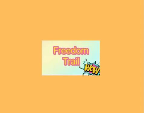 BNPL lenders transparency_credit debit card_buy now pay later credit risks