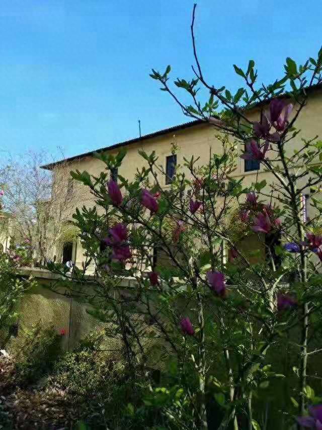 你的美国留学签证被拒了吗？原因不外乎以下4点：