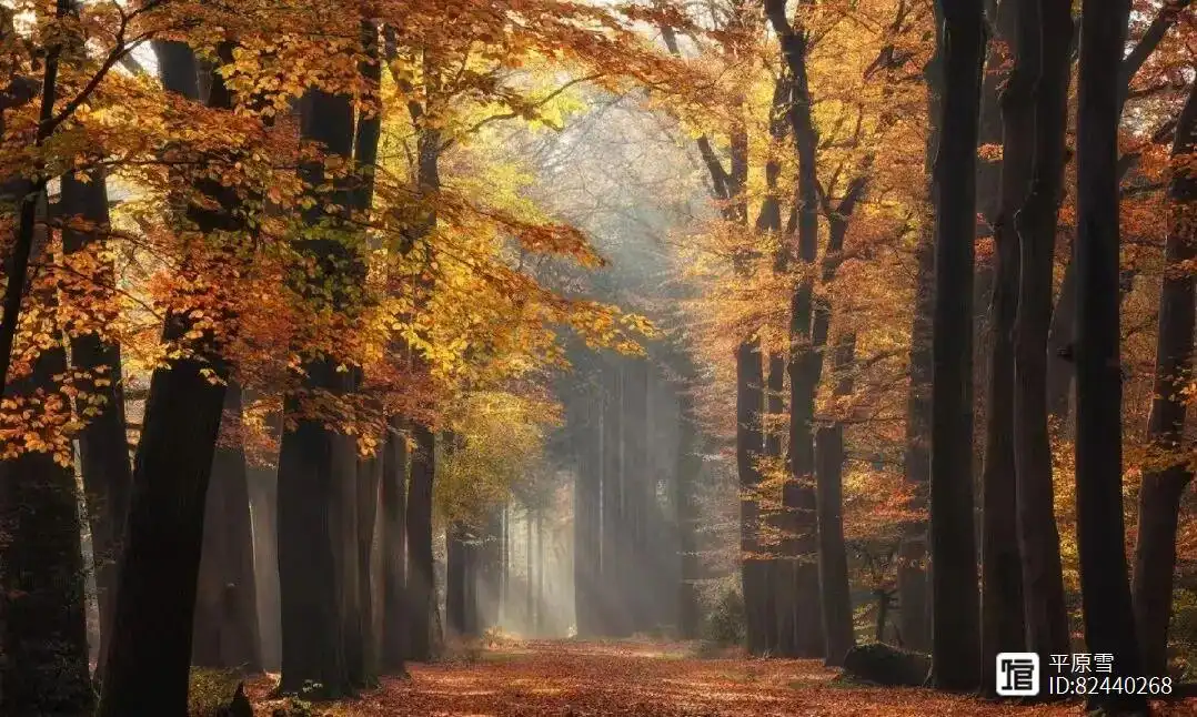 时间与智慧沉淀_睡后收入_投机的本质