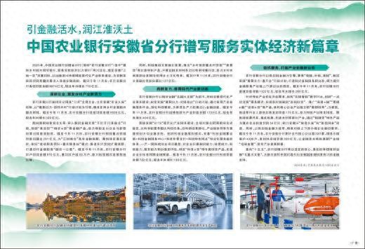 2025年农行安徽分行服务实体经济，助力乡村振兴发展成果