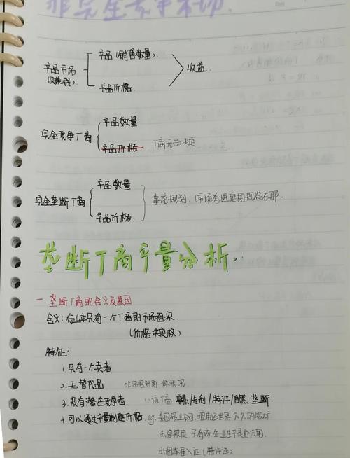 IB经济IA话题选择_宏观经济学论文 淘宝_税收与补贴分析