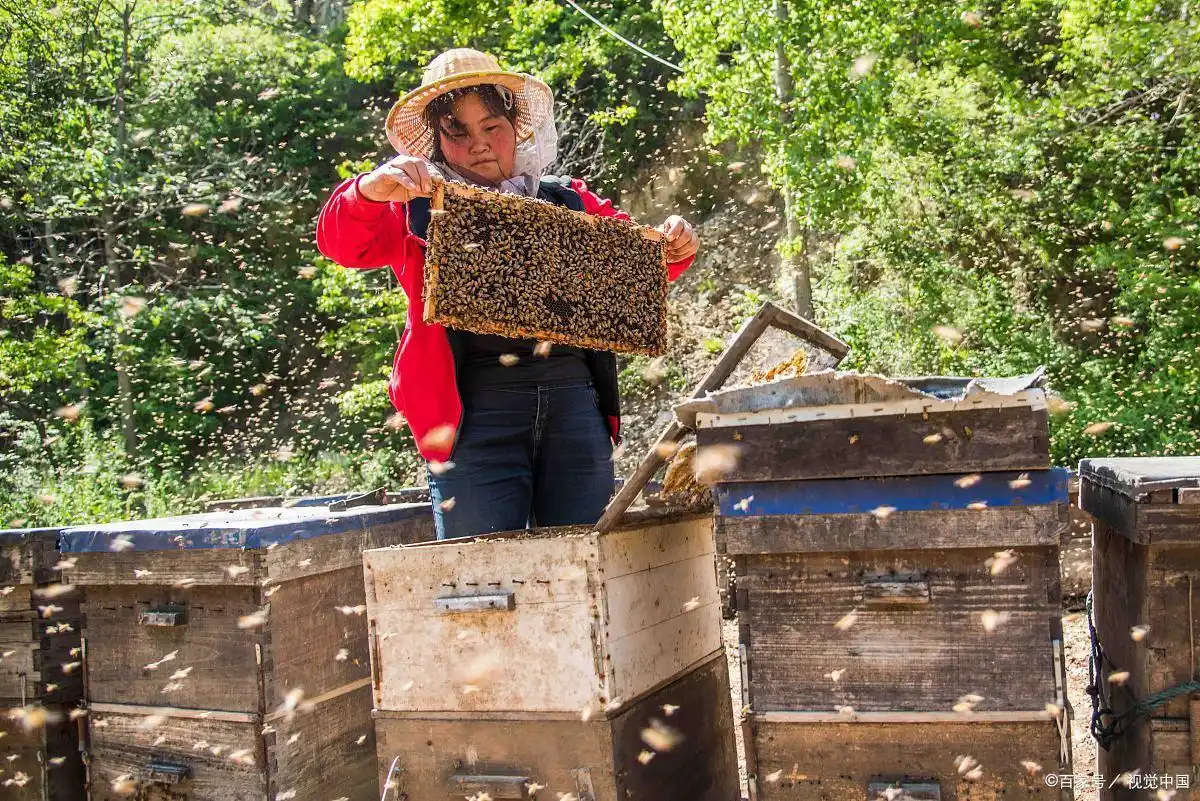现在在农村做什么生意赚钱投资小_农村小生意_低风险创业项目