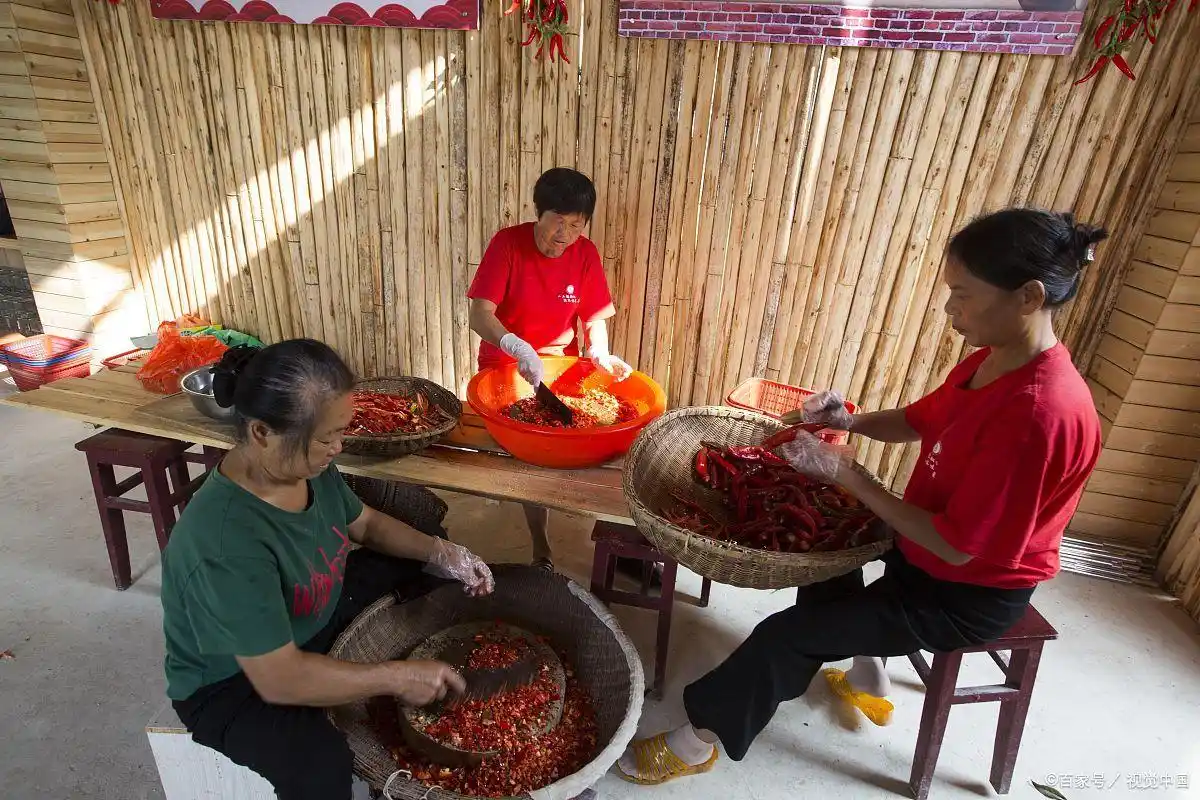 农村赚钱好商机，这几种小生意利润不错还投资小