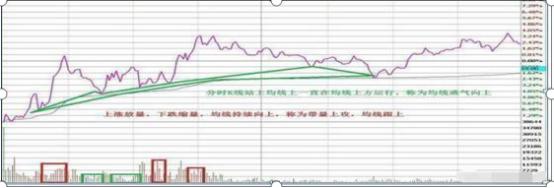 股市故事_卖辣椒故事中国股市启示_中国股市散户生存法则