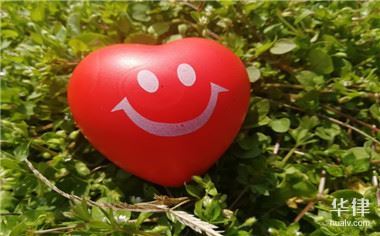 股份有限公司设立条件及股东债务划分协议法院判决依据