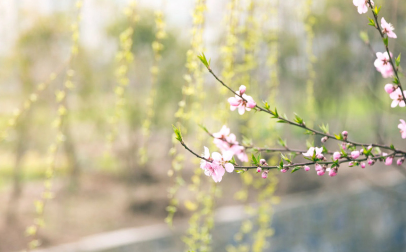 执行标的啥意思？包含啥？有啥特点？一文讲清楚