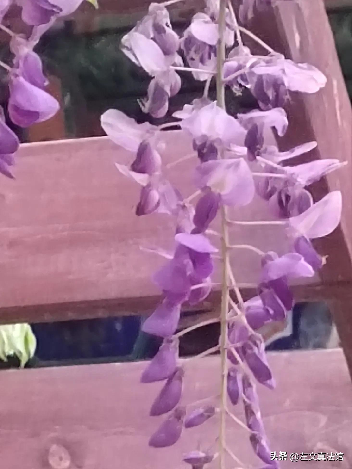 办理行政案件中涉案财物收缴范围_公安机关办理行政案件程序规定涉案财物处理_价格法中违法所得的计算